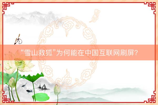 “雪山救狐”为何能在中国互联网刷屏？