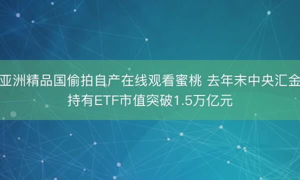 亚洲精品国偷拍自产在线观看蜜桃 去年末中央汇金持有ETF市值突破1.5万亿元
