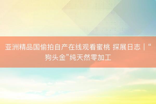 亚洲精品国偷拍自产在线观看蜜桃 探展日志｜“狗头金”纯天然零加工