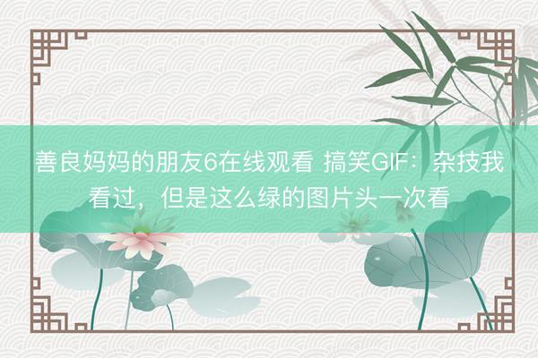 善良妈妈的朋友6在线观看 搞笑GIF：杂技我看过，但是这么绿的图片头一次看