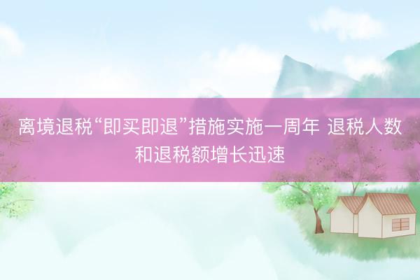 离境退税“即买即退”措施实施一周年 退税人数和退税额增长迅速