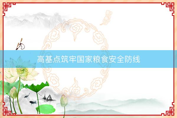 高基点筑牢国家粮食安全防线