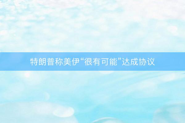 特朗普称美伊“很有可能”达成协议