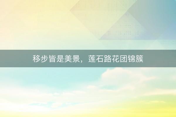 移步皆是美景，莲石路花团锦簇