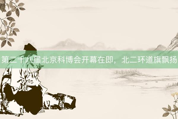 第二十八届北京科博会开幕在即，北二环道旗飘扬