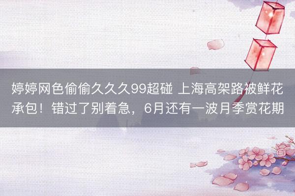 婷婷网色偷偷久久久99超碰 上海高架路被鲜花承包！错过了别着急，6月还有一波月季赏花期