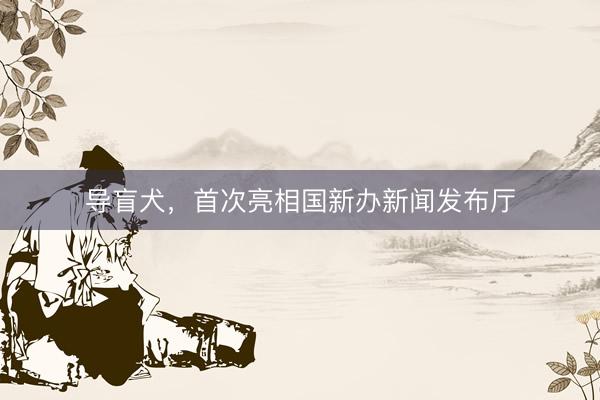 导盲犬，首次亮相国新办新闻发布厅