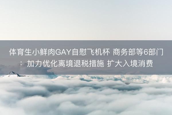 体育生小鲜肉GAY自慰飞机杯 商务部等6部门：加力优化离境退税措施 扩大入境消费