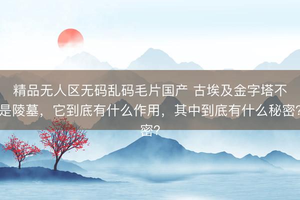 精品无人区无码乱码毛片国产 古埃及金字塔不是陵墓,它到底有什么作用,其中到底有什么秘密?