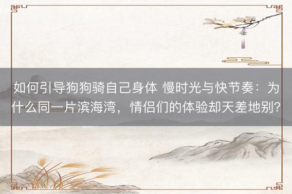 如何引导狗狗骑自己身体 慢时光与快节奏：为什么同一片滨海湾，情侣们的体验却天差地别？