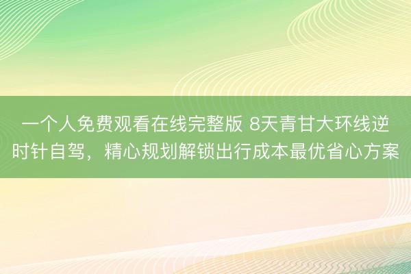 一个人免费观看在线完整版 8天青甘大环线逆时针自驾，精心规划解锁出行成本最优省心方案
