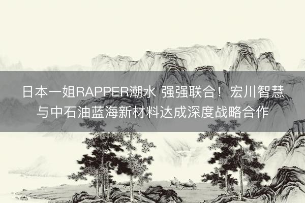 日本一姐RAPPER潮水 强强联合！宏川智慧与中石油蓝海新材料达成深度战略合作