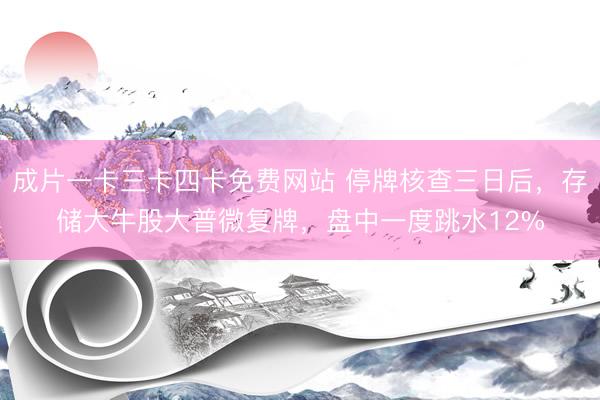 成片一卡三卡四卡免费网站 停牌核查三日后，存储大牛股大普微复牌，盘中一度跳水12%