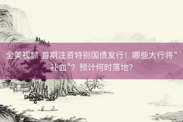 全美视频 首期注资特别国债发行！哪些大行将“补血”？预计何时落地？