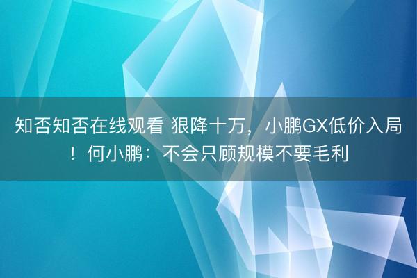 知否知否在线观看 狠降十万，小鹏GX低价入局！何小鹏：不会只顾规模不要毛利
