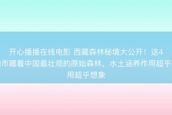 开心播播在线电影 西藏森林秘境大公开!这4个地市藏着中国最壮观的原始森林,水土涵养作用超乎想象