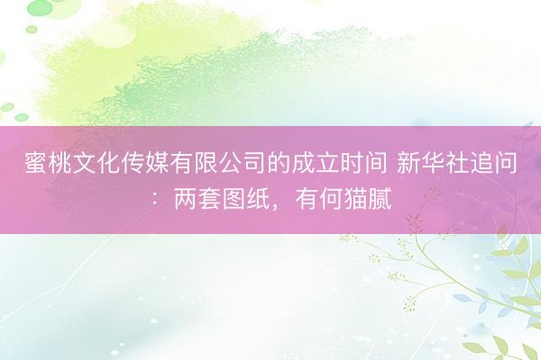 蜜桃文化传媒有限公司的成立时间 新华社追问：两套图纸，有何猫腻