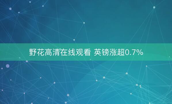 野花高清在线观看 英镑涨超0.7%