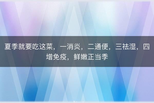 夏季就要吃这菜，一消炎，二通便，三祛湿，四增免疫，鲜嫩正当季