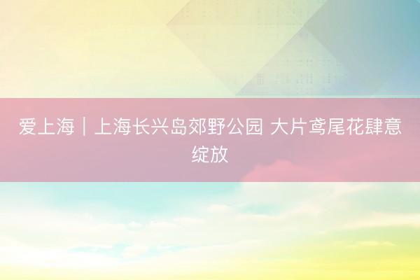 爱上海｜上海长兴岛郊野公园 大片鸢尾花肆意绽放