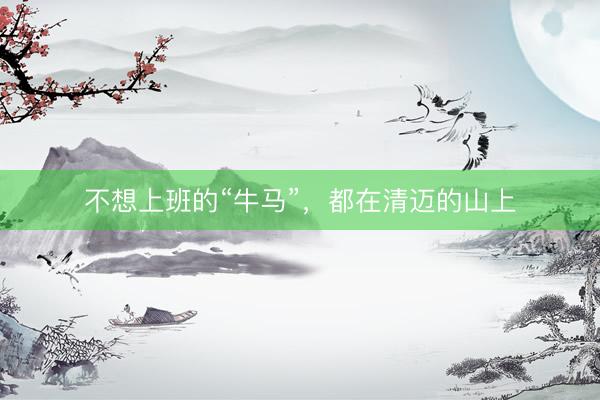 不想上班的“牛马”，都在清迈的山上
