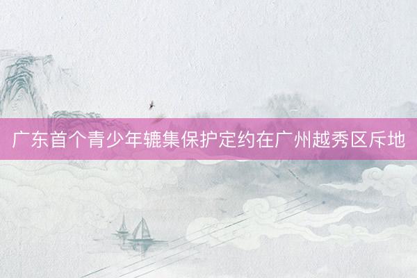 广东首个青少年辘集保护定约在广州越秀区斥地