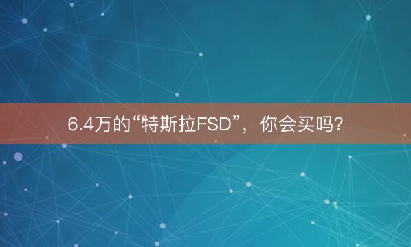 6.4万的“特斯拉FSD”，你会买吗？