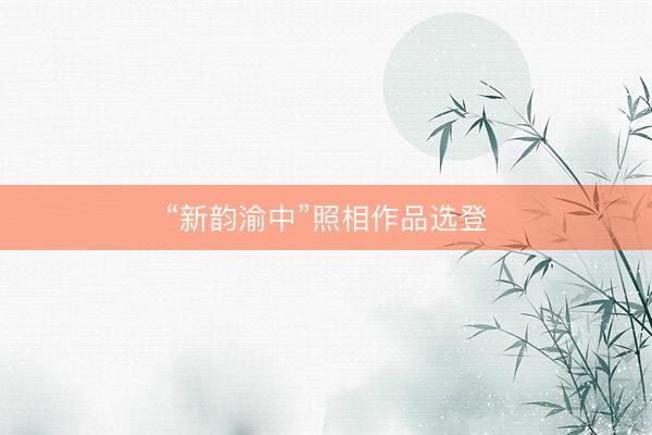 “新韵渝中”照相作品选登