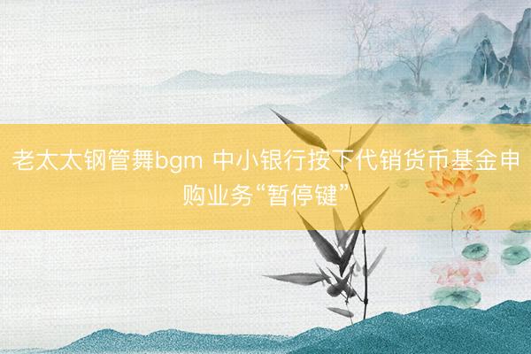老太太钢管舞bgm 中小银行按下代销货币基金申购业务“暂停键”