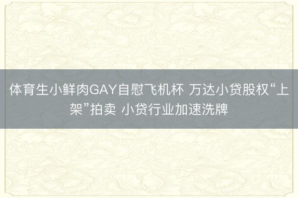体育生小鲜肉GAY自慰飞机杯 万达小贷股权“上架”拍卖 小贷行业加速洗牌