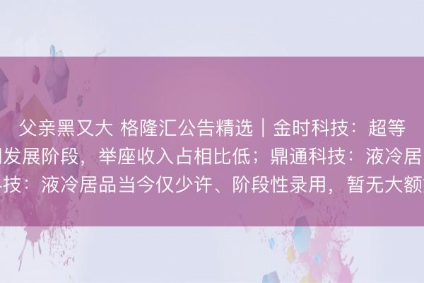 父亲黑又大 格隆汇公告精选︱金时科技：超等电容器业务仍处于前期发展阶段，举座收入占相比低；鼎通科技：液冷居品当今仅少许、阶段性录用，暂无大额始终锁定订单