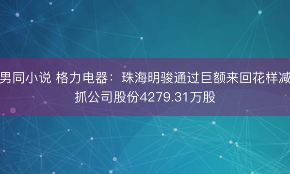 男同小说 格力电器：珠海明骏通过巨额来回花样减抓公司股份4279.31万股