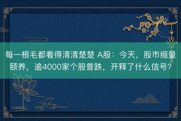 每一根毛都看得清清楚楚 A股：今天，股市缩量颐养，逾4000家个股普跌，开释了什么信号？