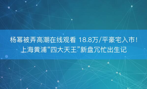 杨幂被弄高潮在线观看 18.8万/平豪宅入市！上海黄浦“四大天王”新盘冗忙出生记