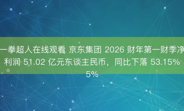 一拳超人在线观看 京东集团 2026 财年第一财季净利润 51.02 亿元东谈主民币，同比下落 53.15%