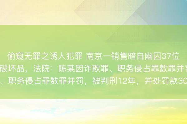 偷窥无罪之诱人犯罪 南京一销售暗自幽囚37位客户660万车款，用于破坏品，法院：陈某因诈欺罪、职务侵占罪数罪并罚，被判刑12年，并处罚款30万元