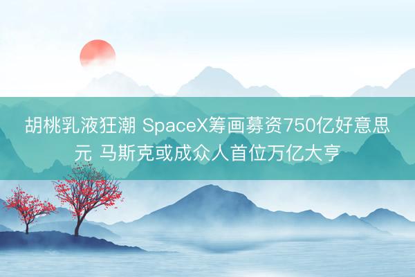 胡桃乳液狂潮 SpaceX筹画募资750亿好意思元 马斯克或成众人首位万亿大亨
