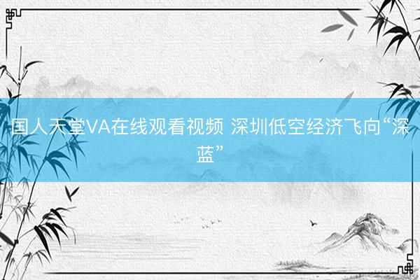 国人天堂VA在线观看视频 深圳低空经济飞向“深蓝”