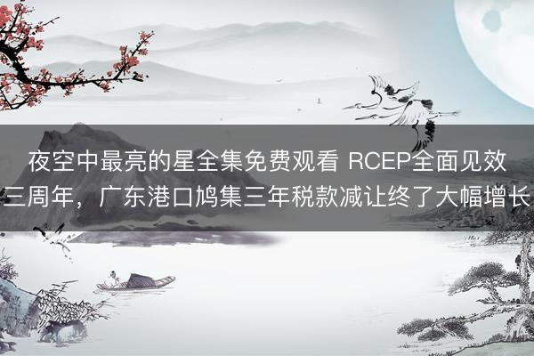 夜空中最亮的星全集免费观看 RCEP全面见效三周年,广东港口鸠集三年税款减让终了大幅增长