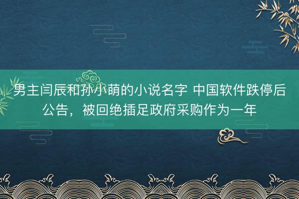 男主闫辰和孙小萌的小说名字 中国软件跌停后公告,被回绝插足政府采购作为一年