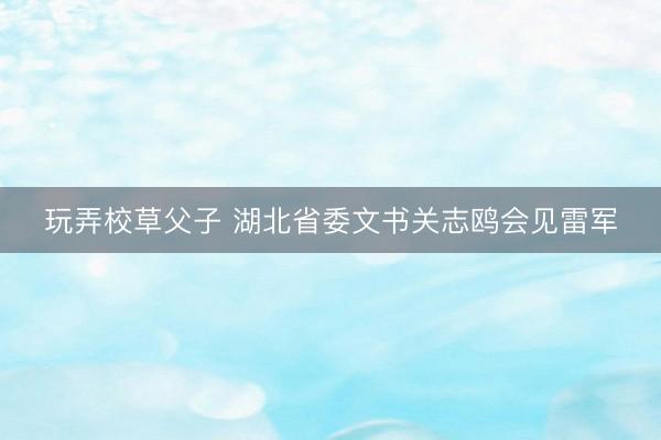 玩弄校草父子 湖北省委文书关志鸥会见雷军