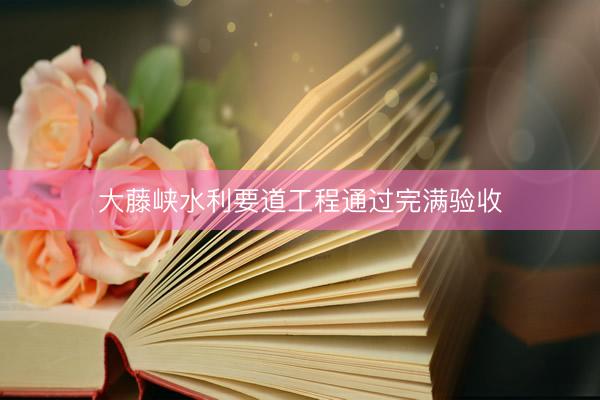大藤峡水利要道工程通过完满验收