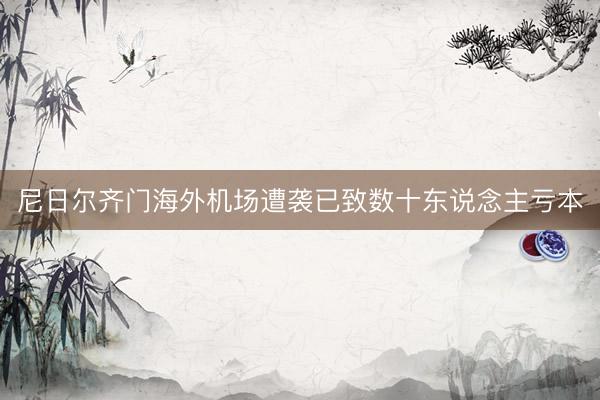 尼日尔齐门海外机场遭袭已致数十东说念主亏本