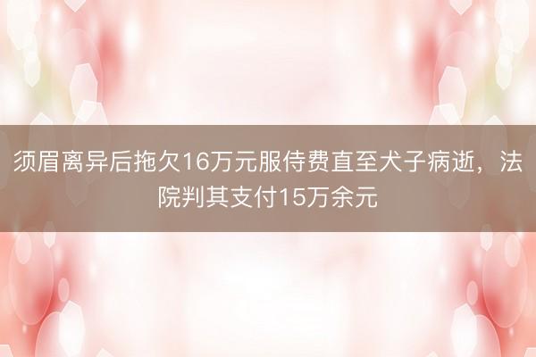 须眉离异后拖欠16万元服侍费直至犬子病逝，法院判其支付15万余元