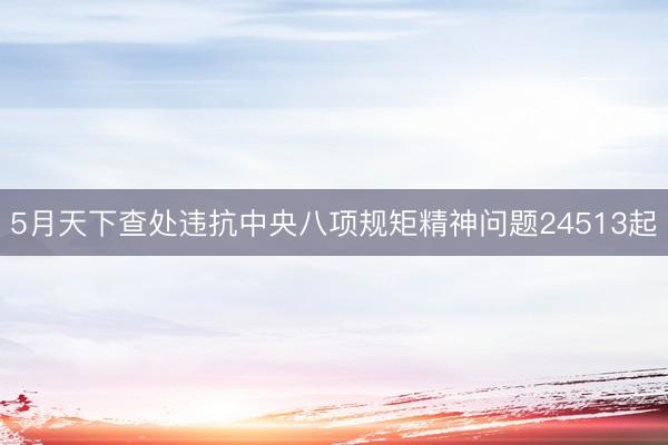 5月天下查处违抗中央八项规矩精神问题24513起